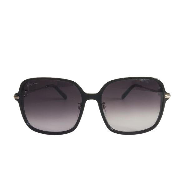 Salvatore Ferragamo SF1075SLB Sunglasses