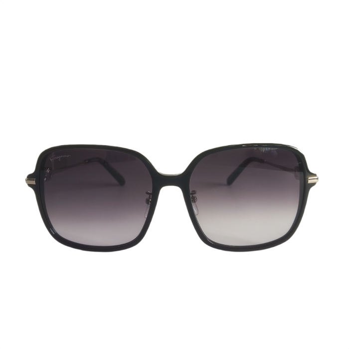 Salvatore Ferragamo SF1075SLB Sunglasses