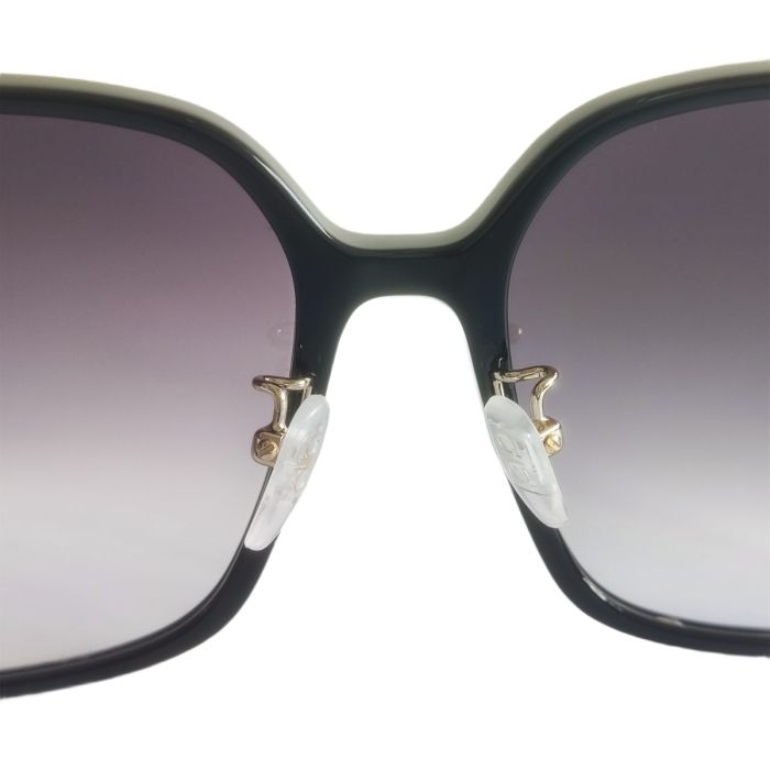 Salvatore Ferragamo SF1075SLB Sunglasses