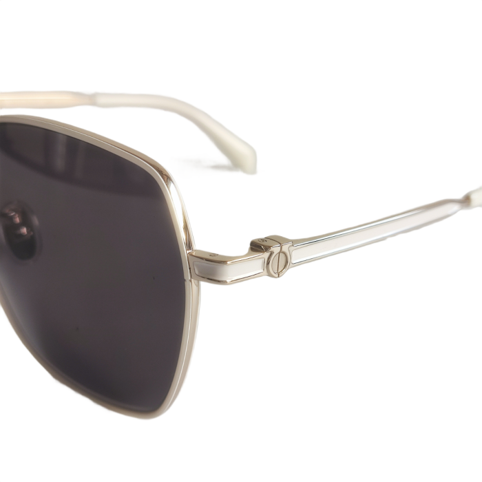 Salvatore Ferragamo SF2041SLB Sunglasses