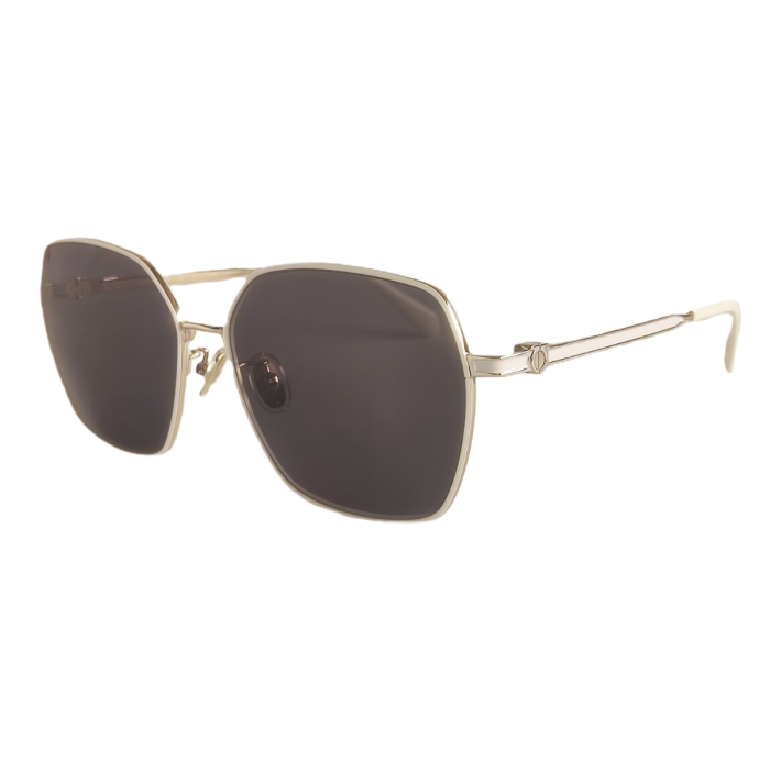 Salvatore Ferragamo SF2041SLB Sunglasses
