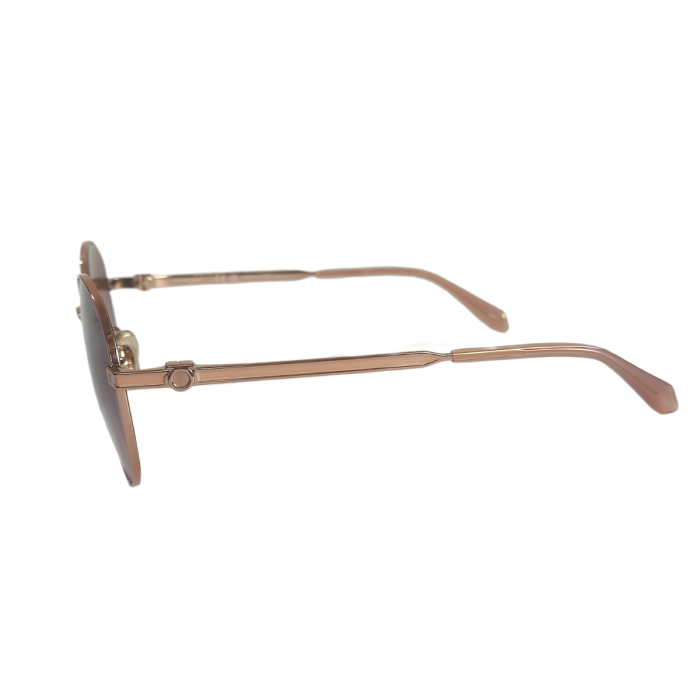 Salvatore Ferragamo SF321SLBK Sunglasses