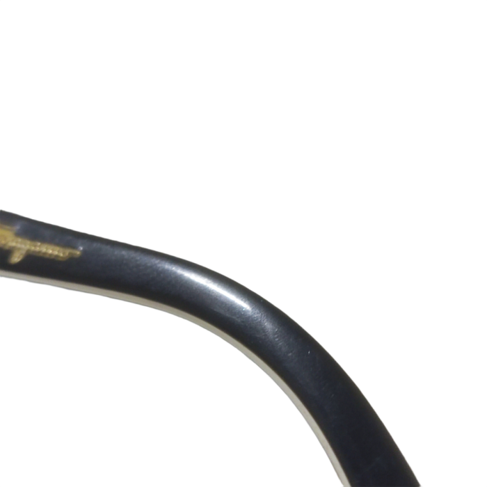 Salvatore Ferragamo Sunglasses