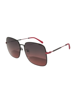 Calvin Klein Jeans CKJ20222SA Sunglasses