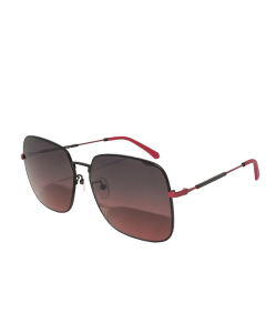 Calvin Klein Jeans CKJ20222SA Sunglasses