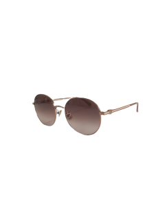 Salvatore Ferragamo SF321SLBK Sunglasses