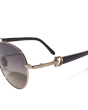 Ferragamo SF315SLBK Round Sunglasses