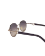 Ferragamo SF315SLBK Round Sunglasses