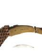 Michael Kors Darci Women Quartz Rose Gold Dial Analog Stainless Steel Watch MK3192