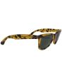 Ray-Ban B&L Wayfarer Limited Edition sunglasses tortoise