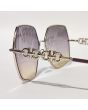 Salvatore Ferragamo SF291 Sunglasses