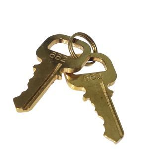 Louis Vuitton Lock and Key Set #662
