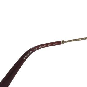 Salvatore Ferragamo SF1075SLB Burgundy Square Sunglasses