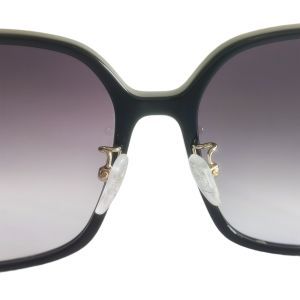 Salvatore Ferragamo SF1075SLB Sunglasses