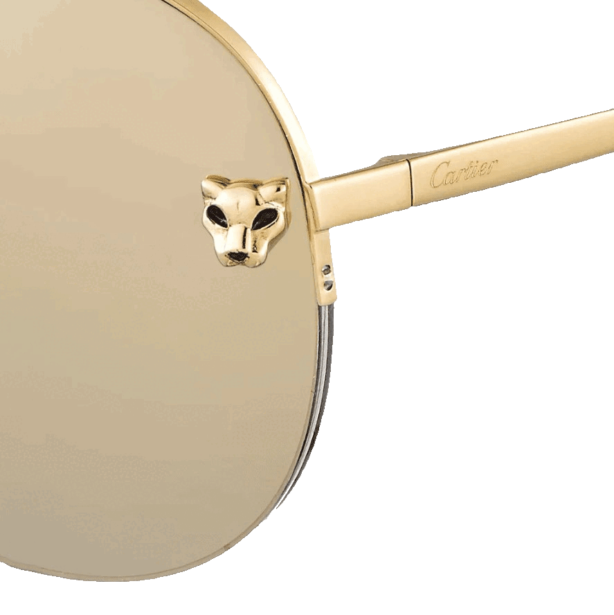 Designer Sunglasses Collection