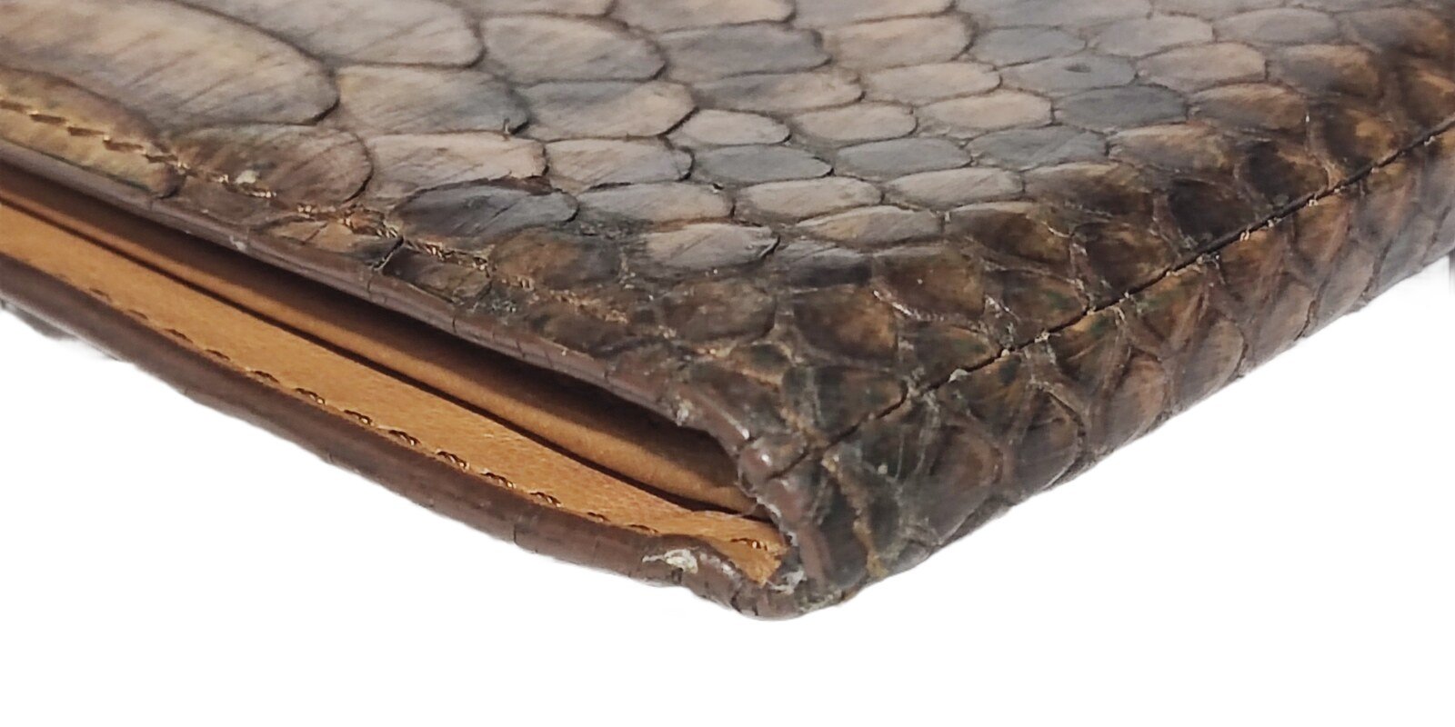 Python leather, close detail